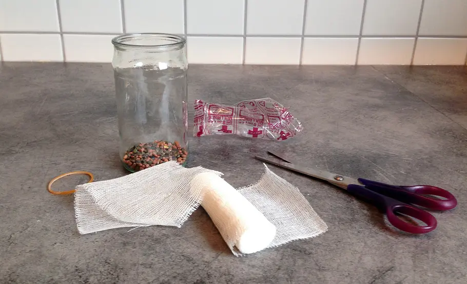 Sprossenglas selber machen