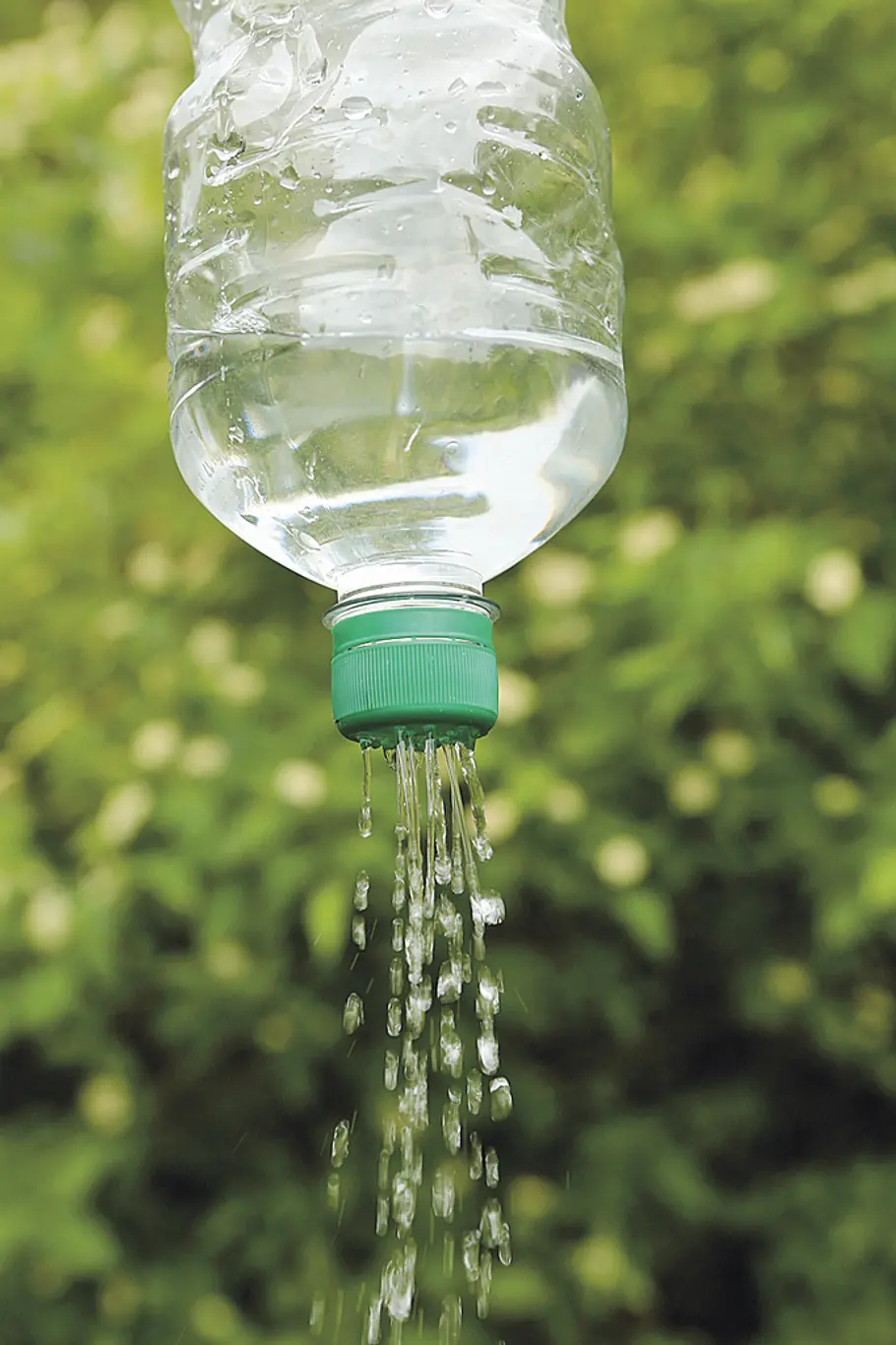 Praxistipp: Blumendusche aus PET-Flasche