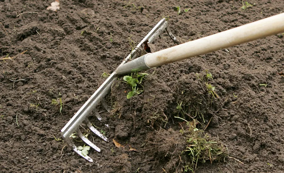 Staudenbeet planen und anlegen