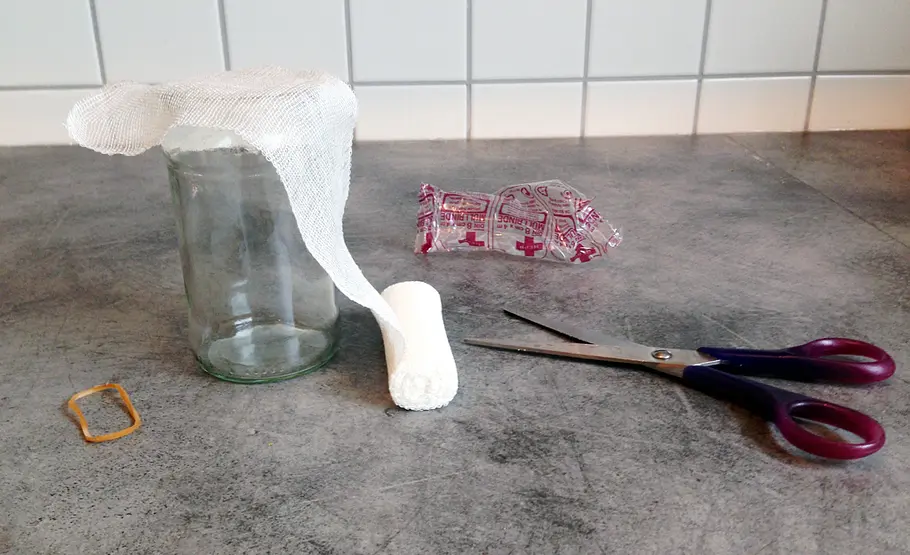 Sprossenglas selber machen