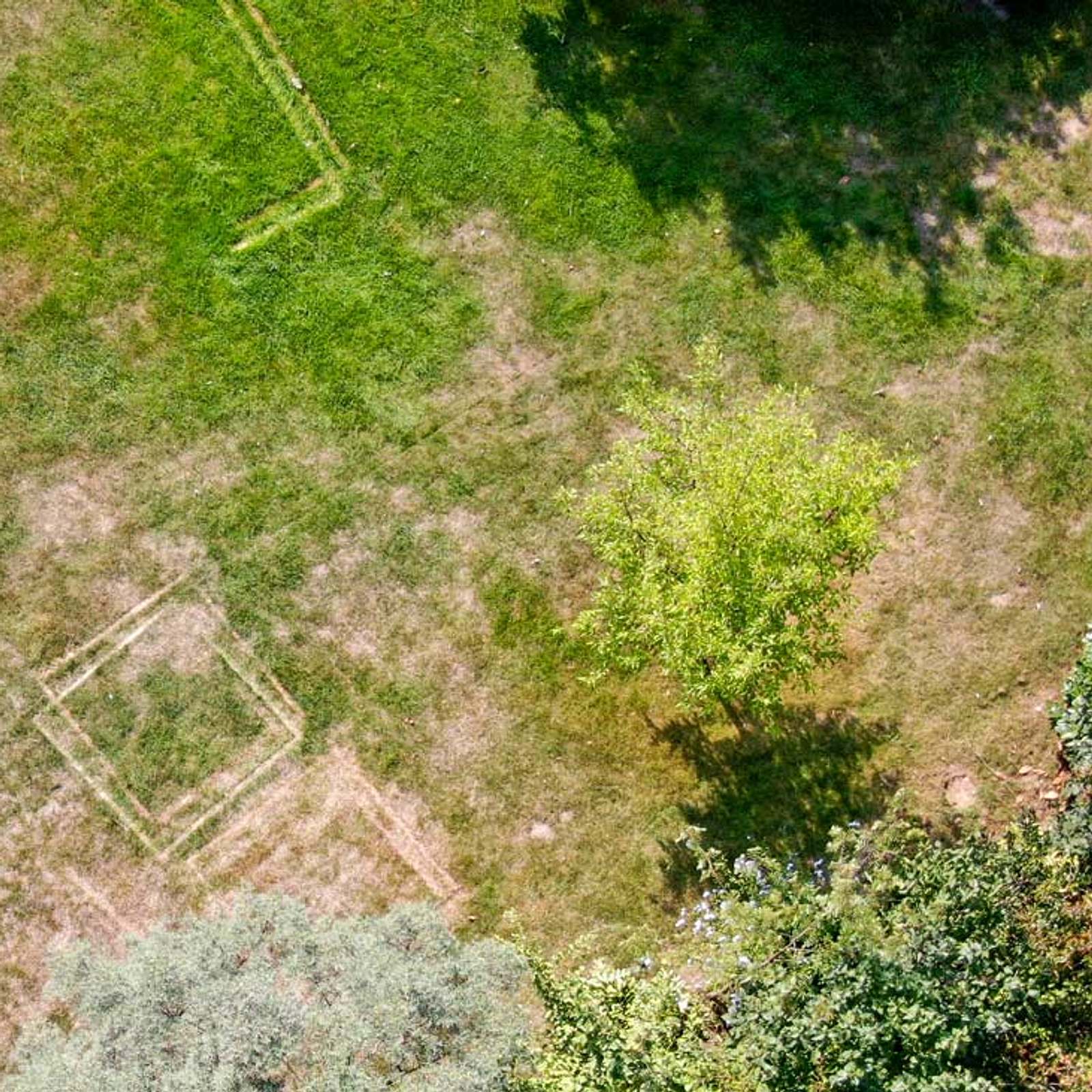 Ausgetrockneten Rasen ausbessern | Selbst