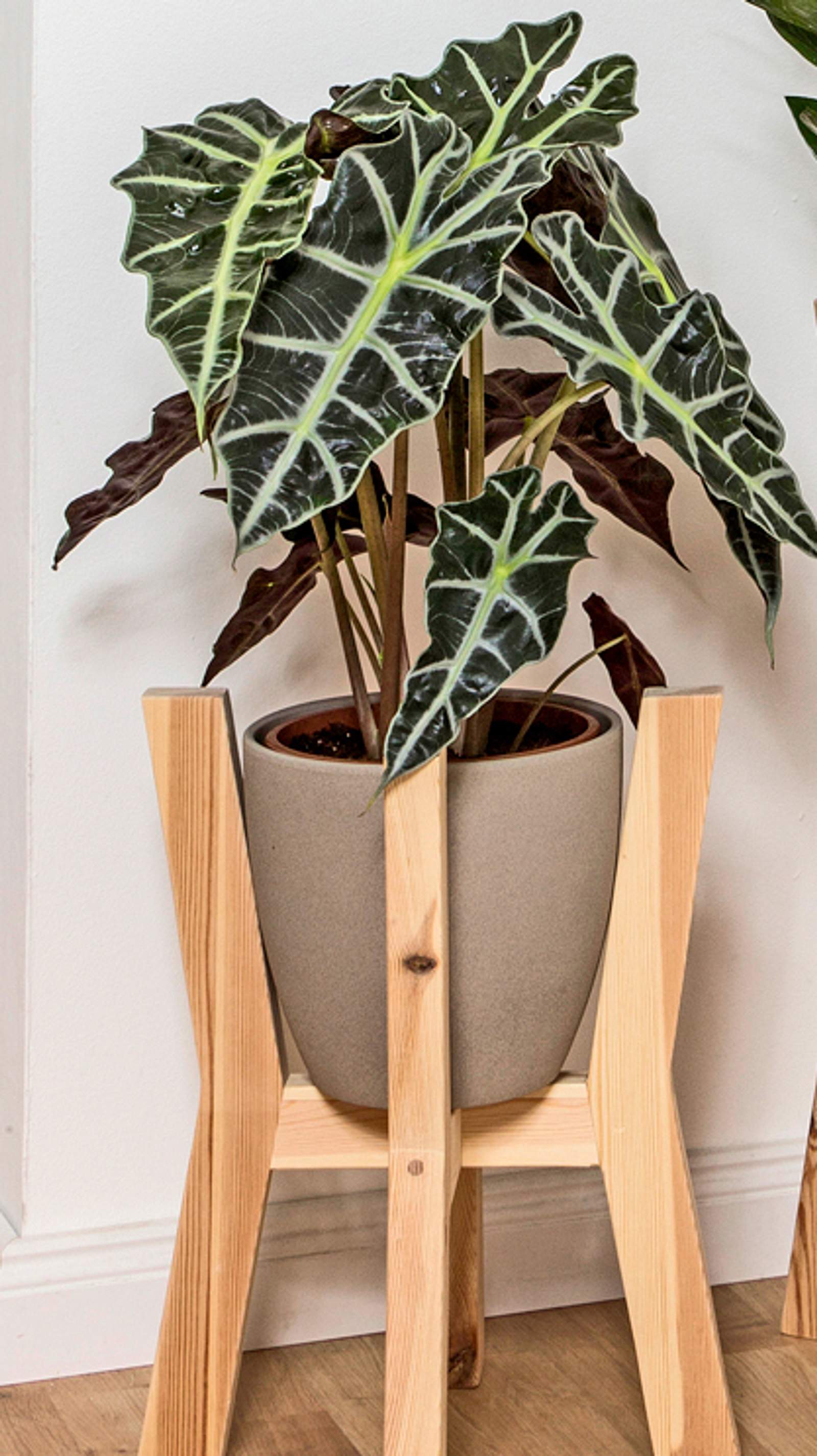 vogelhaus für blumenkasten Nistkasten Vogelhaus – Trödelfuchs Vintage Shop main image 0