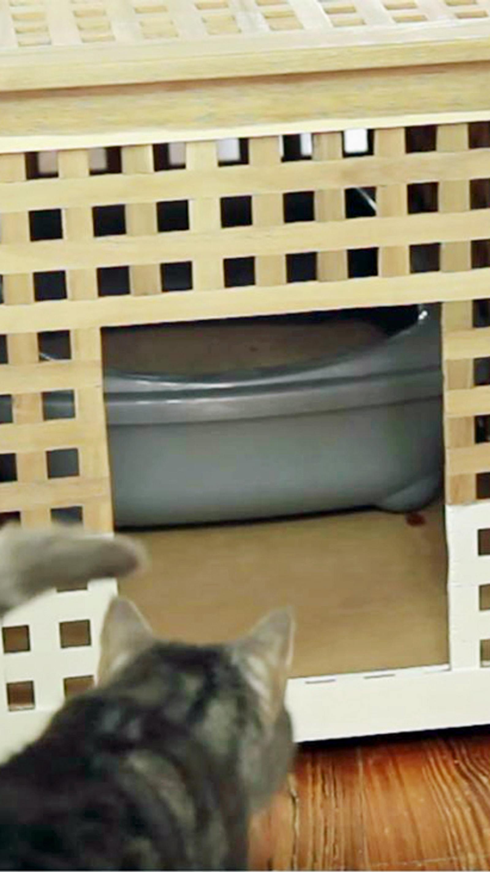 Katzenklo verstecken | Selbst