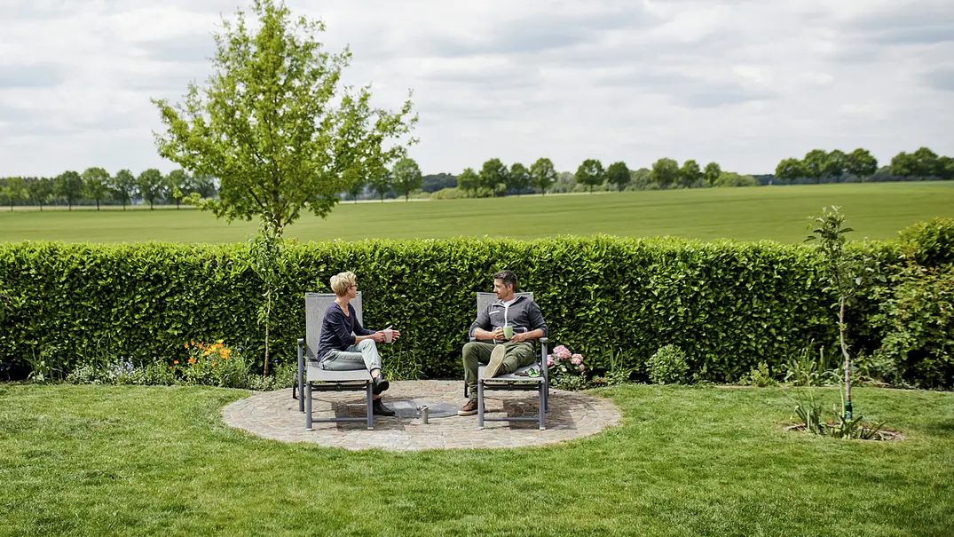 Hecke immergrün - Foto: Hersteller / Compo Hecke immergrün - Foto: Hersteller / Compo