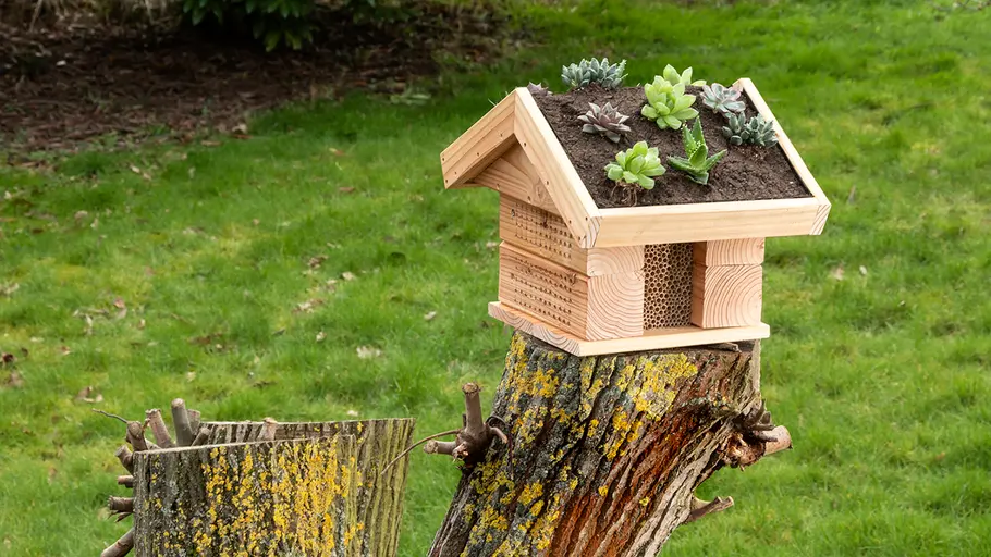 AUSSTATTUNG: Insektenhotel