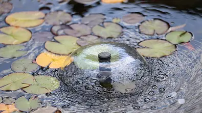 Nahaufnahme eines kleinen Wasserbrunnens in einem Teich: Wasser sprudelt kuppelförmig aus einer Düse, umgeben von Seerosenblättern und sanften Wellen. - Foto: iStock/Leo Malsam