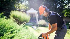 Zum meteorologischen Frühlingsanfang hat Aldi tolle Garten-Angebote - Foto: iStock-ArtistGNDphotography