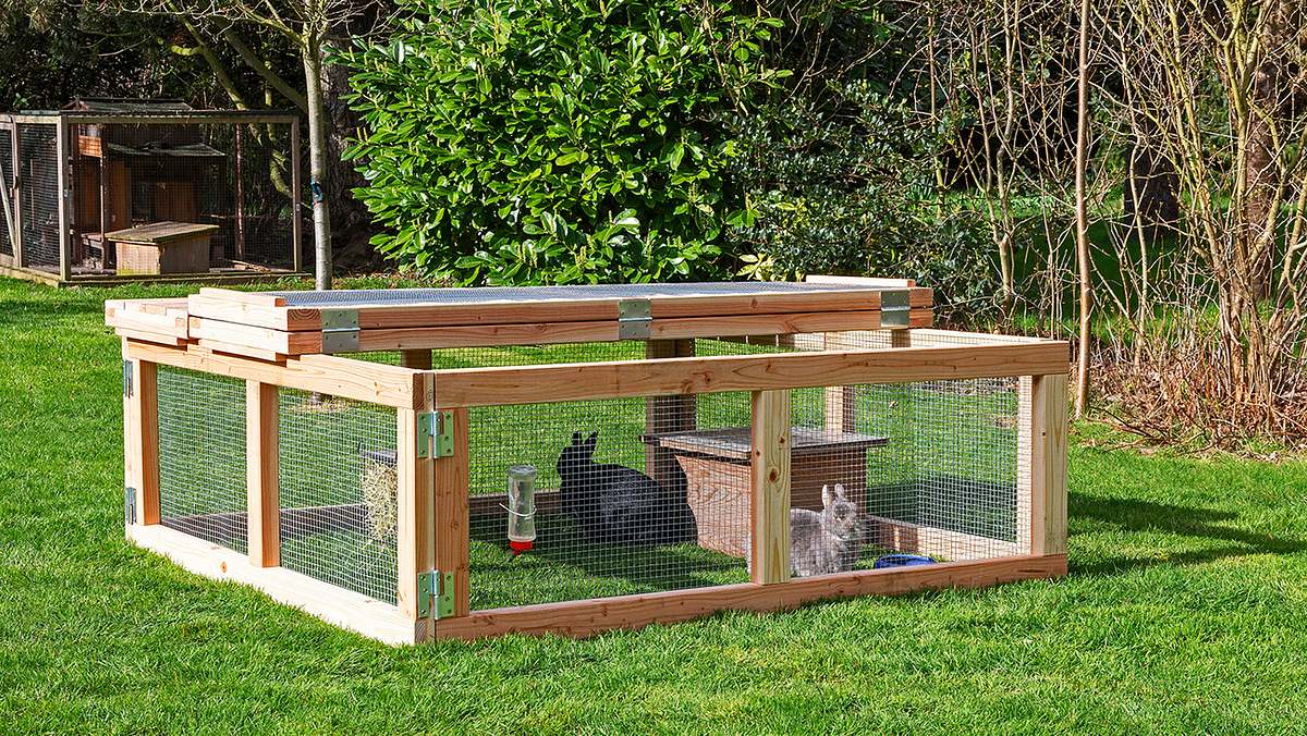 Freigehege für Hasen mit zwei Hasen, Sonnenschutz und klappbarem Dach