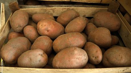 Kartoffeln lagern ohne Keller - Foto: iStock / Bibica