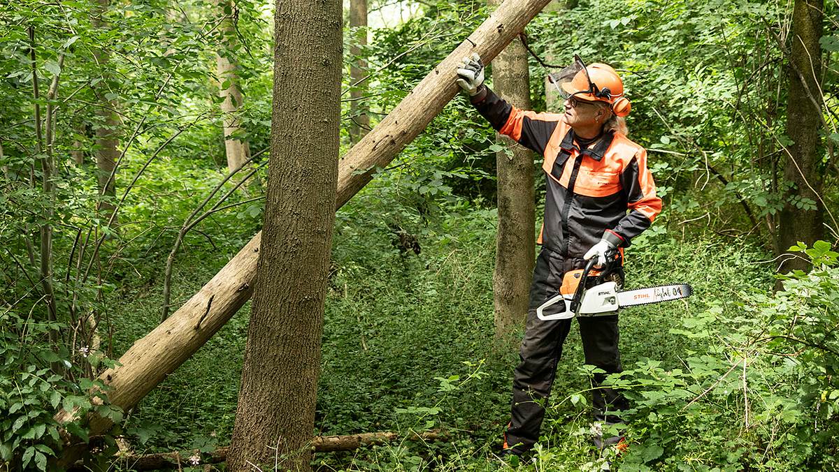 Kettensäge im Wald Einzeltest