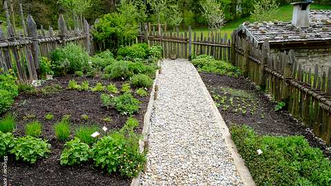 Ein Kiesweg kann auch durch einen Kräutergarten führen. - Foto: iStock / mcbrugg
