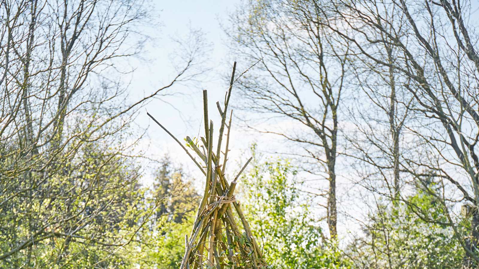 Weiden-Tipi | Selbst