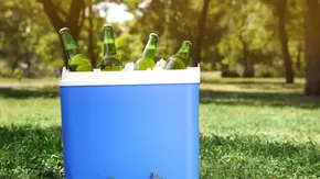 Kühlbox Stiftung Warentest - Foto: iStock / Liudmila Charnetska Kühlbox Stiftung Warentest - Foto: iStock / Liudmila Charnetska