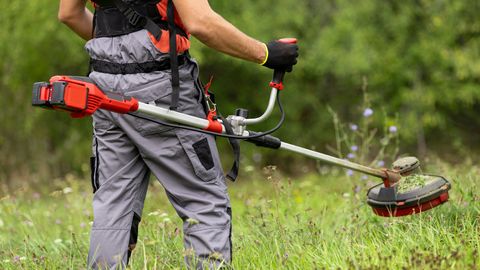 Rasentrimmer im Test - Foto: iStock / zoff-photo