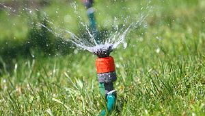 Ein Kreisregner sorgt für die gleichmäßige Bewässerung großer Flächen im Garten - Foto: Imago Images/agefotostock