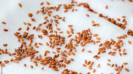 Aus den kleinen Kresse-Samen lässt sich schnell ein aromatisches Gewürz ziehen. - Foto: iStock / RobsonPL