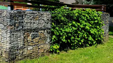 Lärmschutzwand Garten - Foto: iStock/beekeepx