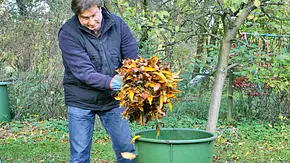 Laub entsorgen - Foto: sidm / Heß Laub entsorgen - Foto: sidm / Heß