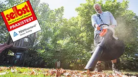Ein Mann benutzt im Garten einen Laubsauger, um Herbstlaub auf dem Rasen vor grünen Bäumen aufzusaugen.