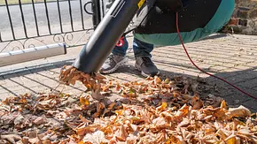 Laubsauger Aldi - Foto: iStock/CBCK-Christine Laubsauger Aldi - Foto: iStock/CBCK-Christine