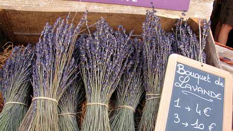 Lavendel trocknen - Foto: Annamartha / pixelio.de