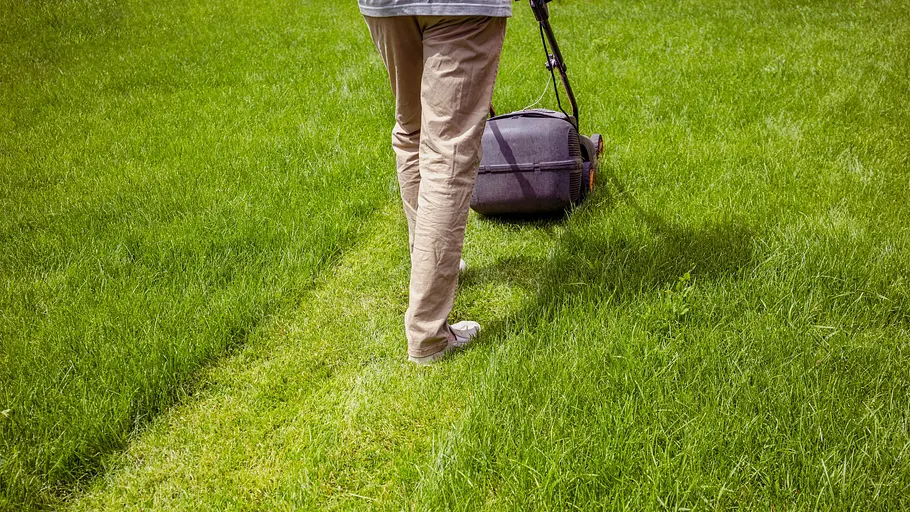 ideale Schnittweite am Rasenmäher Ein Mann schiebt einen Rasenmäher durch hohes Gras – hinter dem Mäher ist deutlich eine Spur helles, gemähtes Gras zu erkennen