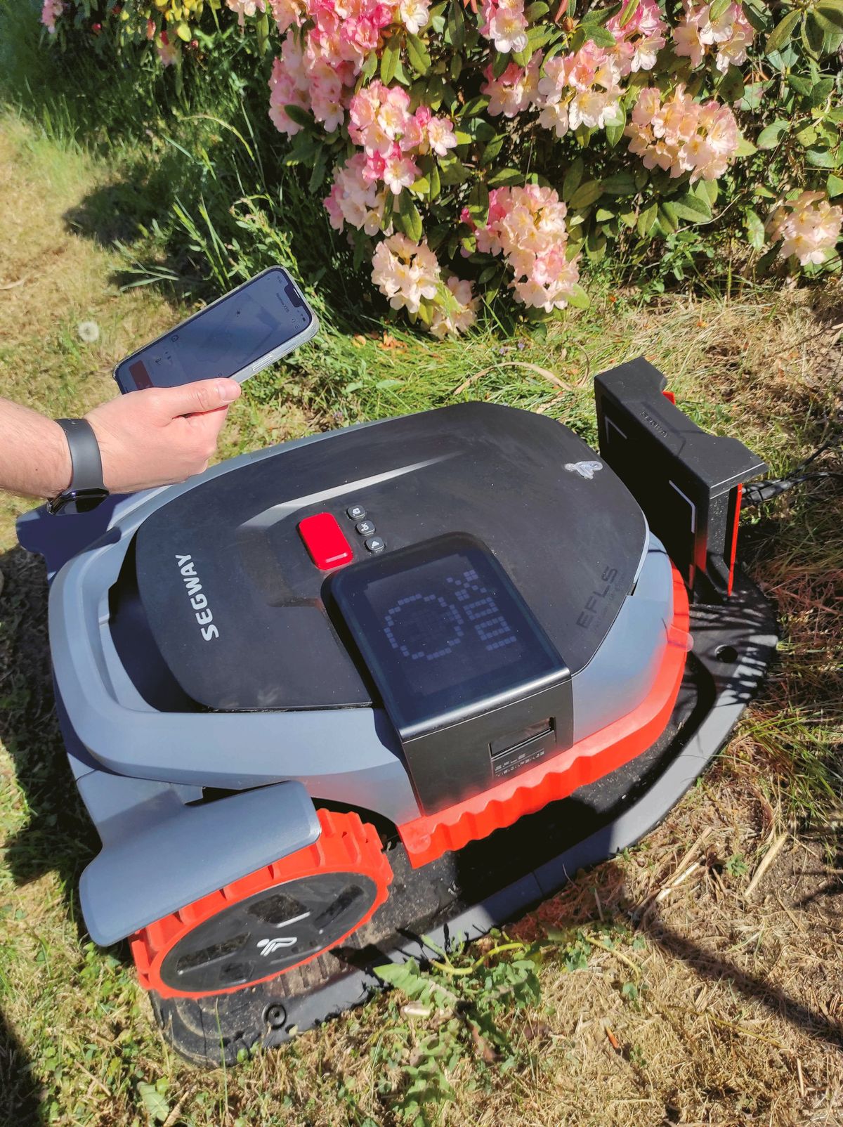 Mähroboter der Marke Segway befindet sich in seiner Ladestation. Über ihm ist eine Hand mit Smartphone zu sehen. 