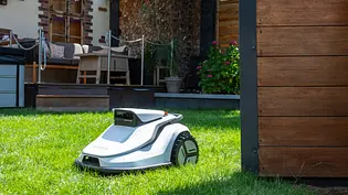 Mähroboter Terramow V600 selbst ausprobiert im Garten - Foto: sidm / Michael Müller-Münker