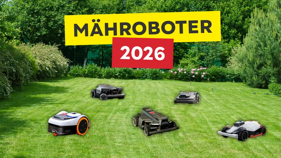 Mähroboter auf Rasen Mähroboter auf Rasen