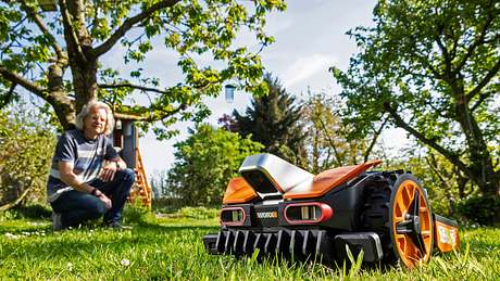 Mähroboter ohne Begrenzungsdraht auf Wiese - Foto: Michael Müller-Münker