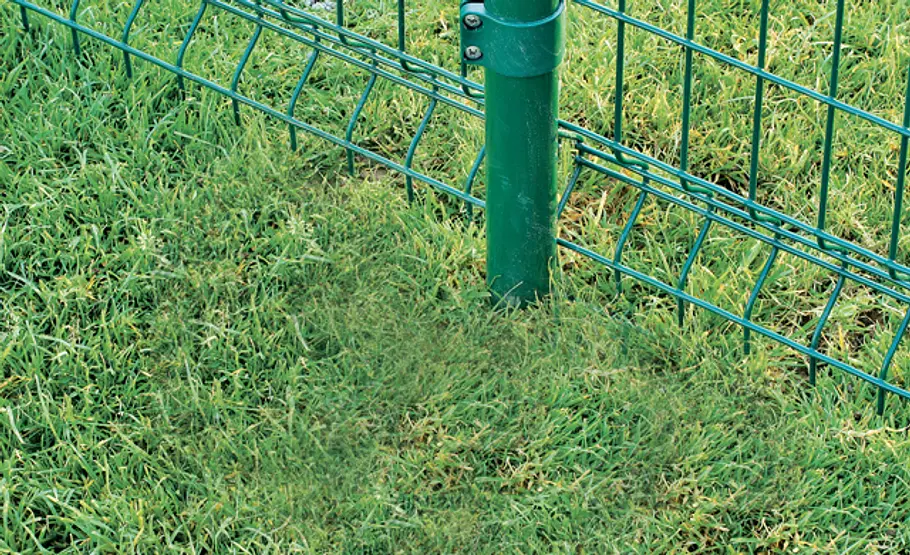 Metallzaun setzen: Schritt 33 von 34 Rollrasen legen