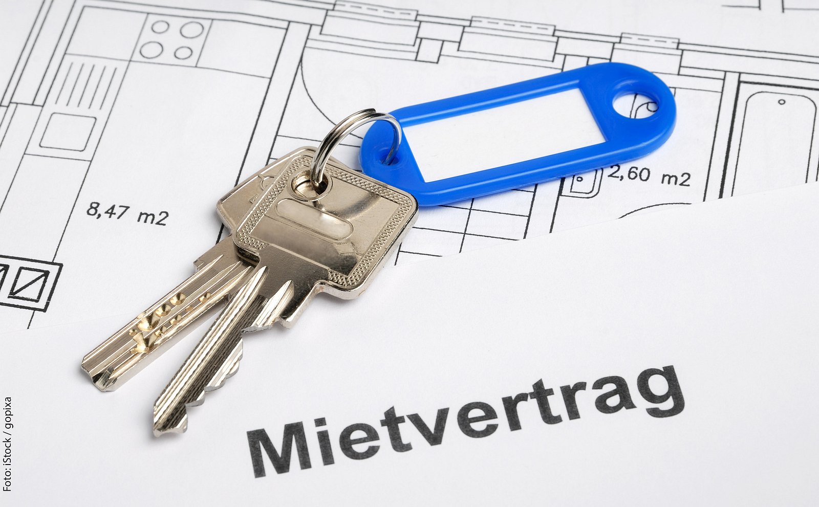 Selbstauskunft für Mieter | selbst.de