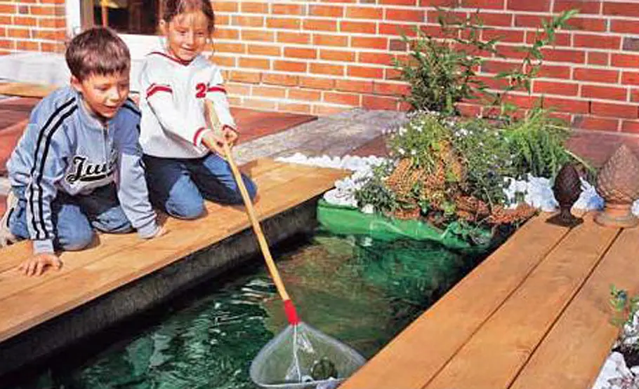 Mini-Teich bauen Mini-Teich
