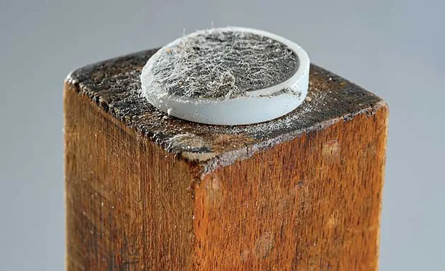 Stuhl reparieren: Schritt 9 von 11 Kaputter Stuhl