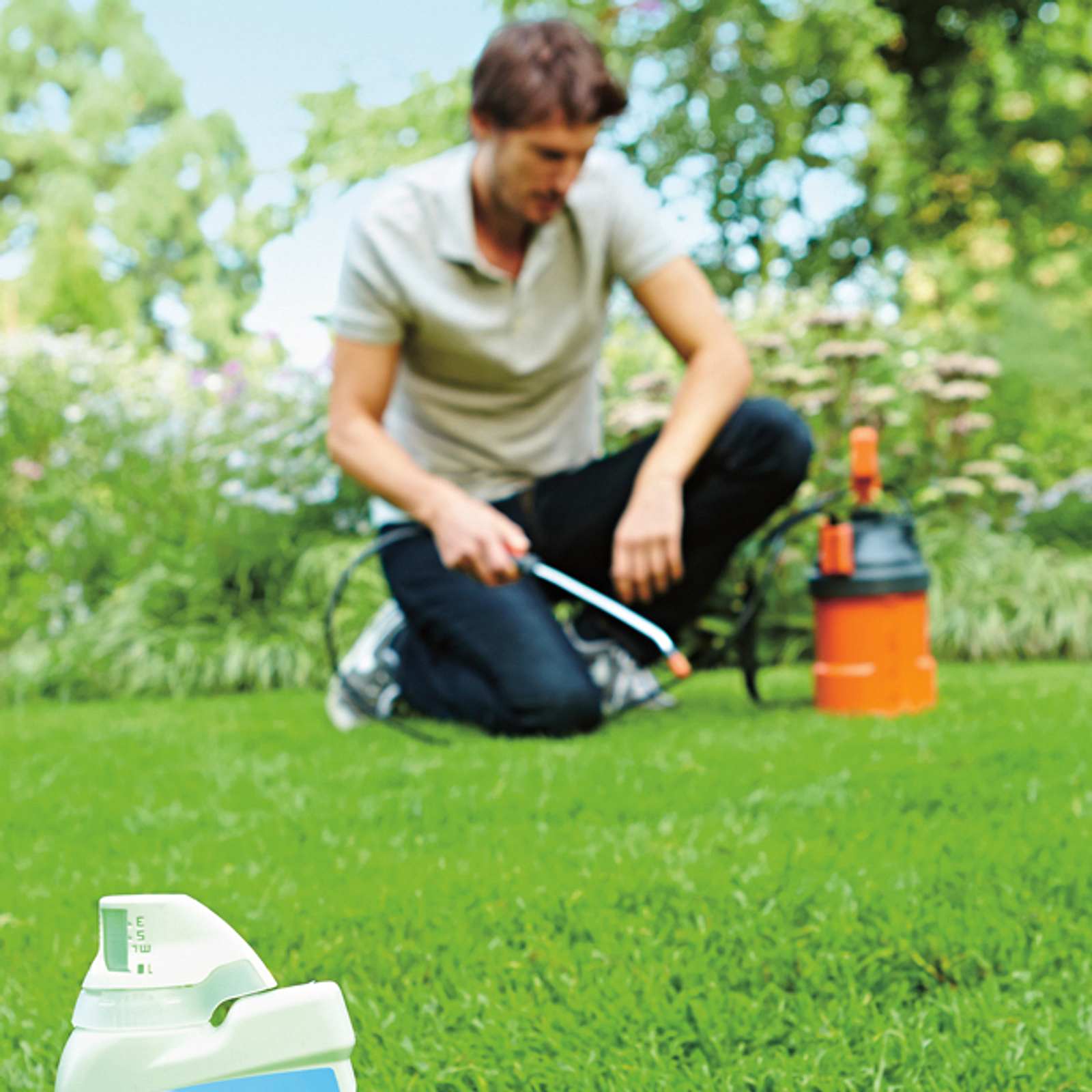 bio saatgut weizen Weizen Ganzes Korn Bio kaufen – Chiemgaukorn