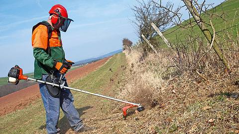 Sicher mit der Motorsense arbeiten - Foto: sidm / Archiv