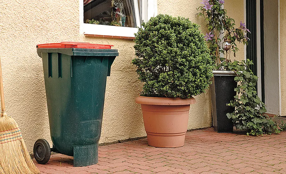 Grünes Spalier für den Mülltonnenstellplatz Mülltonnenstellplatz