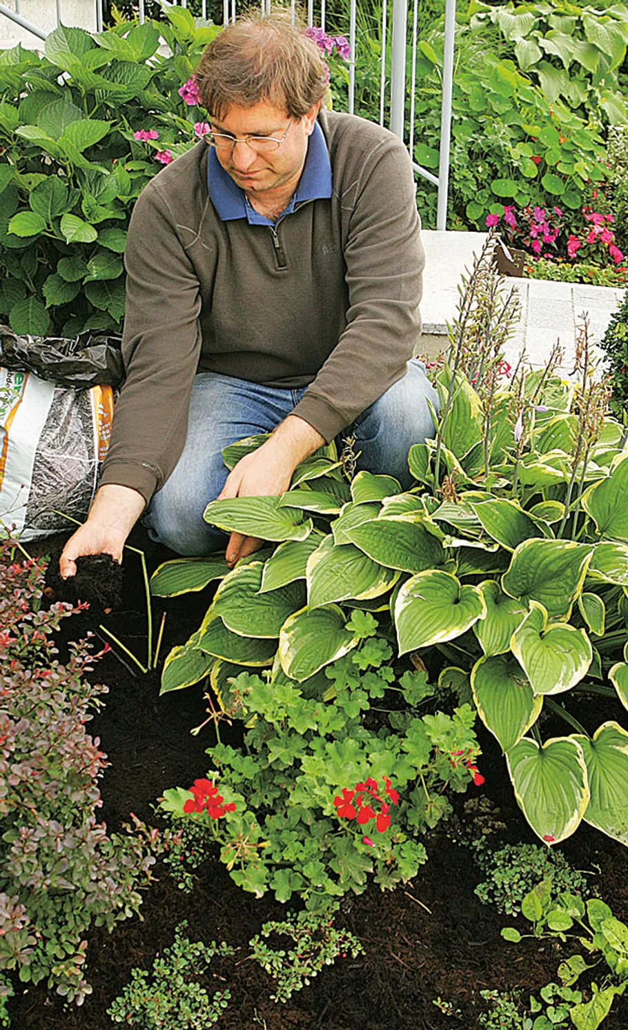 Mulch: Schutz für den Boden Mulch: Schutz für den Boden