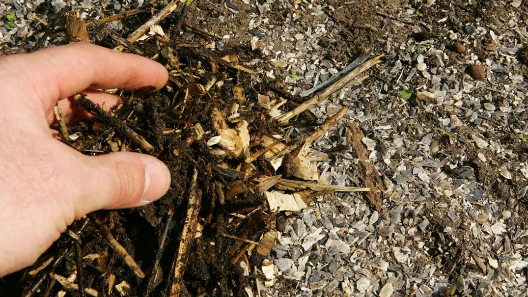 Mulch: Mulchen - Foto: sidm / TH Mulch: Mulchen - Foto: sidm / TH