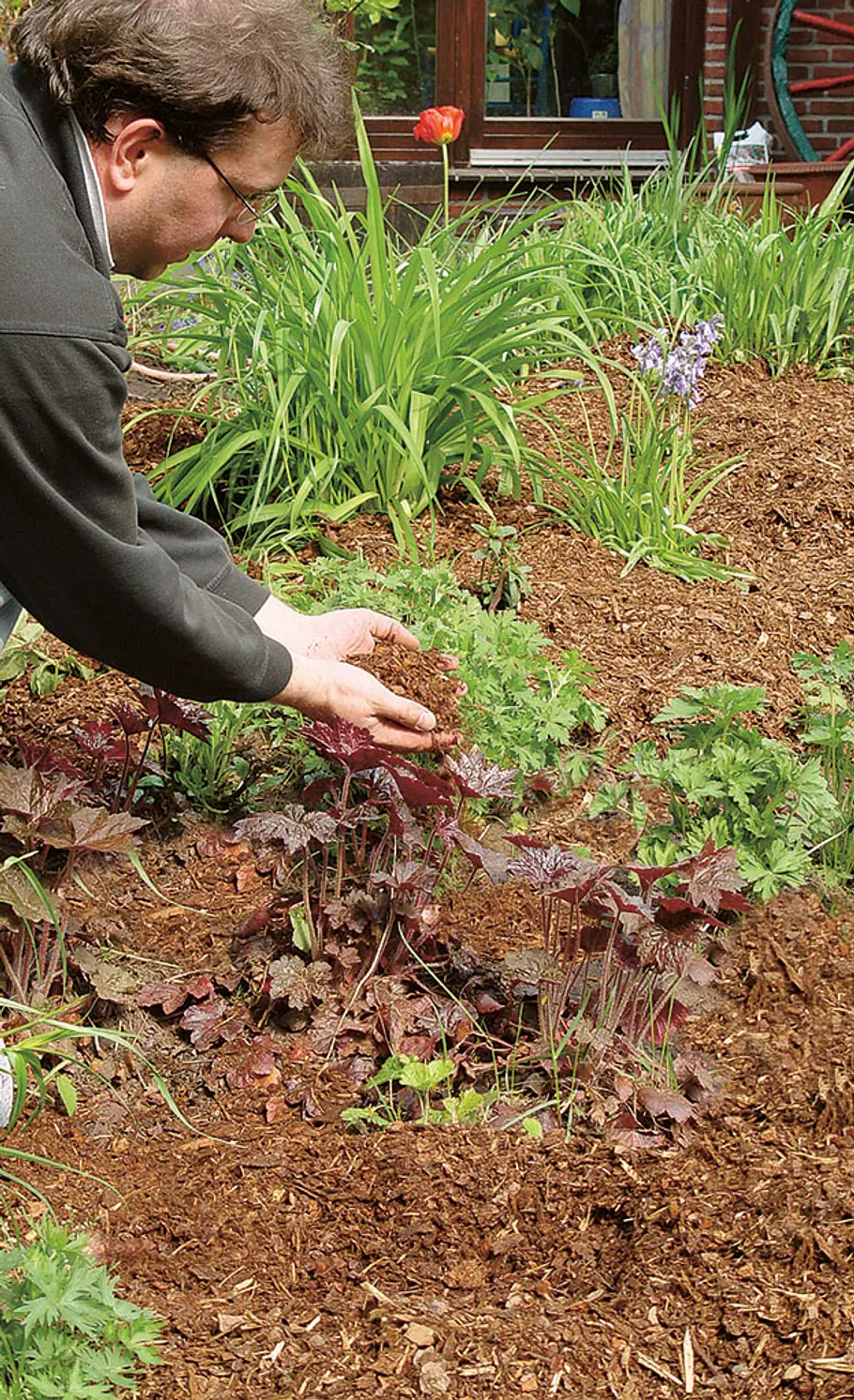 Mulch: Schutz für den Boden Rindenmulch