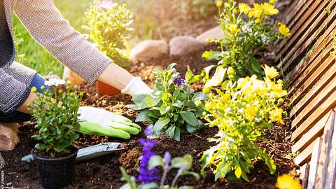 Naturgarten Biologischen Garten anlegen - Foto: iStock / ronstik