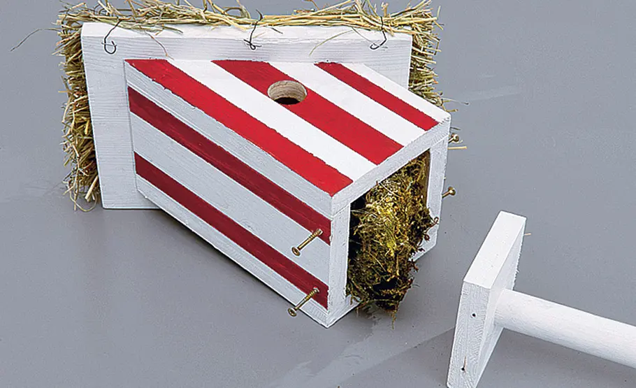 Bauanleitung & Maße für Nistkästen Nistkasten selbst bauen