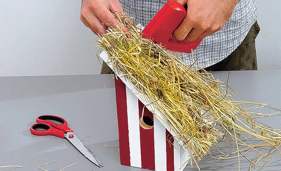Bauanleitung & Maße für Nistkästen Nistkasten selbst bauen
