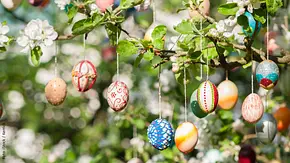 Bunte Ostereier verschönern jeden Garten zur Osterzeit. - Foto: iStock / Kerrick Bunte Ostereier verschönern jeden Garten zur Osterzeit. - Foto: iStock / Kerrick