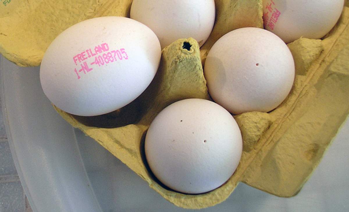 Kennzeichnung Eier