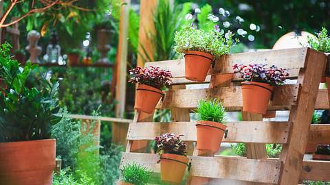 Paletten-Ideen für den Garten: Kreative Tipps und Anleitung für Deko und Möbel draußen - Foto: iStock/ Vichai