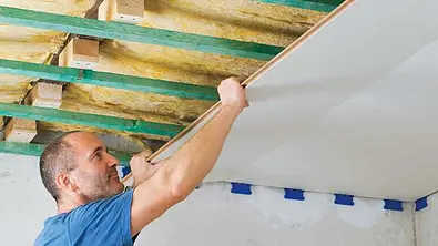 Paneele Decke  | selbst.de