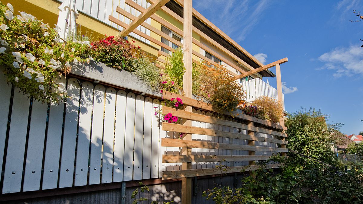 Rankgerüst und Pergola