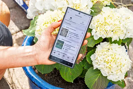 Pflanzen App Gardensize Pflanzen App Gardensize