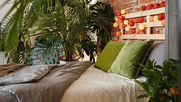 Nahaufnahme eines urbanen, mit Pflanzen dekorierten Schlafzimmer - Foto: iStock / KatarzynaBialasiewicz Nahaufnahme eines urbanen, mit Pflanzen dekorierten Schlafzimmer - Foto: iStock / KatarzynaBialasiewicz